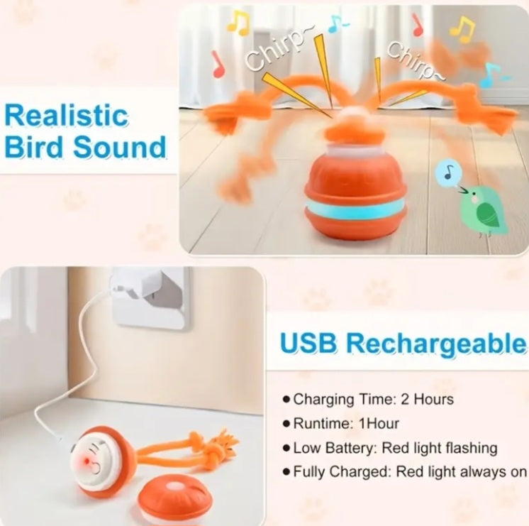 RollPawsPro Interactive toy