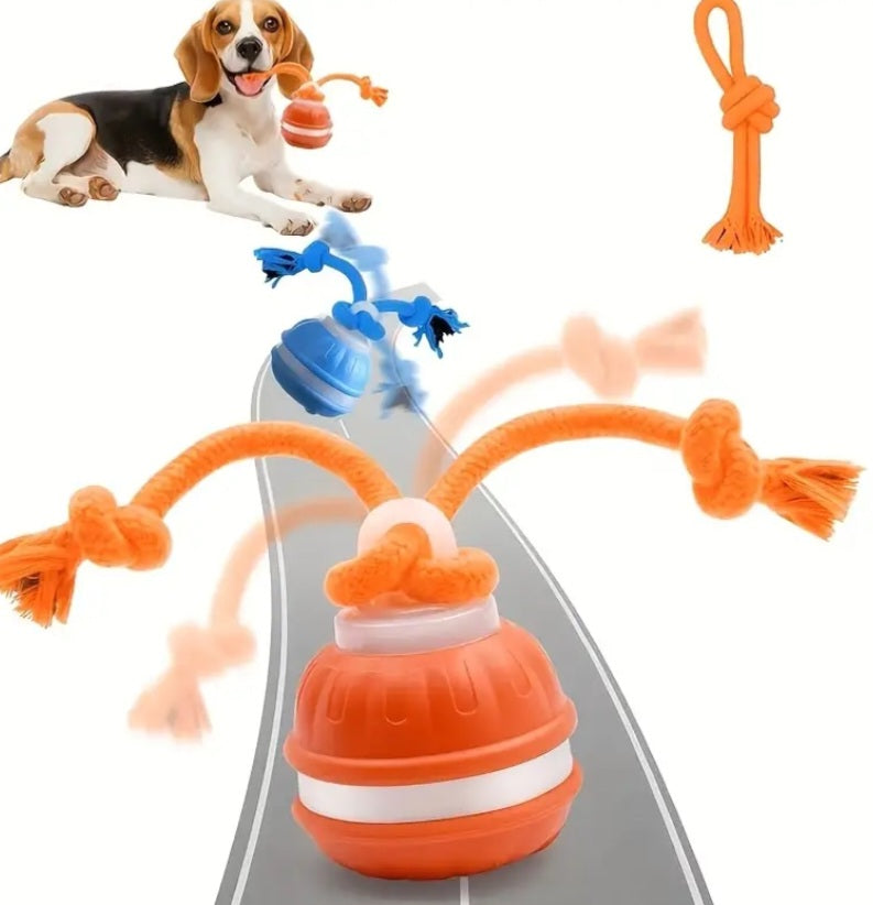 RollPawsPro Interactive toy