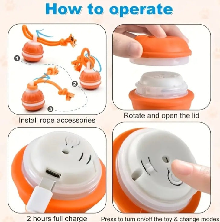 RollPawsPro Interactive toy