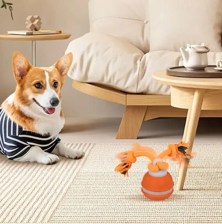 RollPawsPro Interactive toy