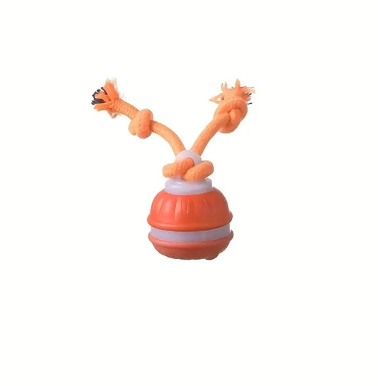 RollPawsPro Interactive toy