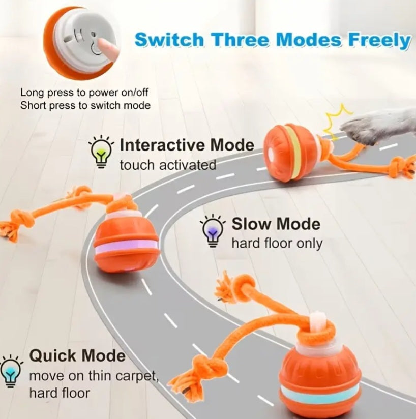 RollPawsPro Interactive toy